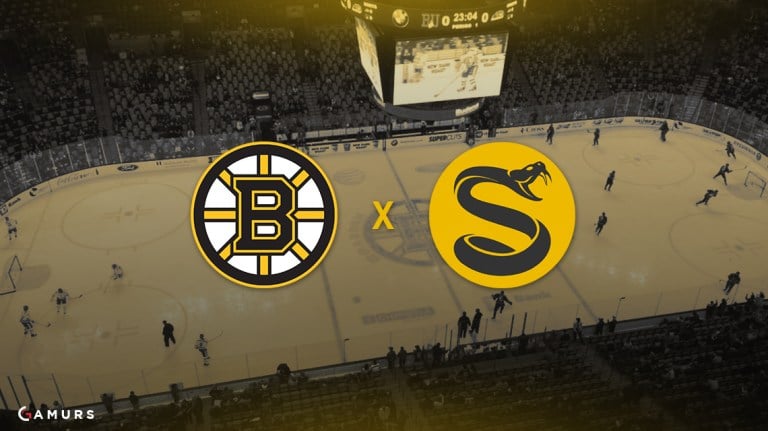 Boston Bruins' Parent Company Invests in Splyce