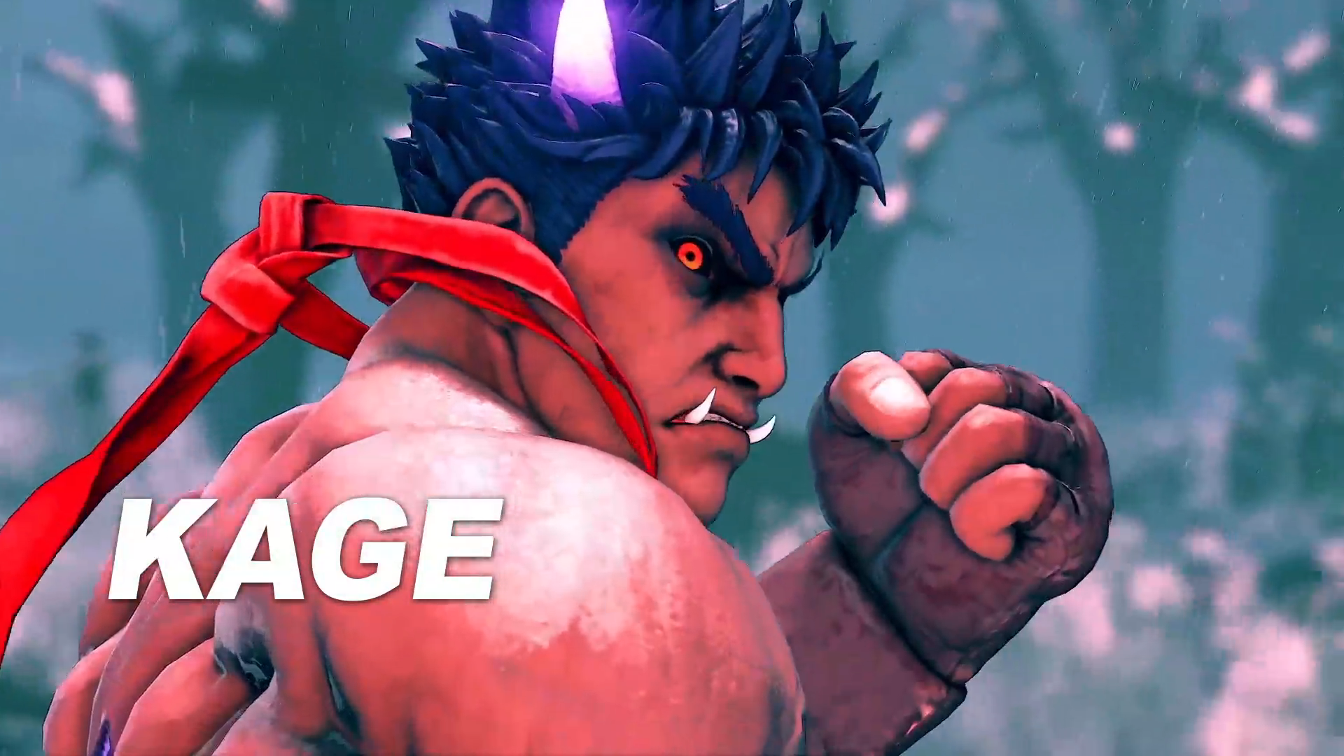 Akuma and 3 other DLC fighters have already been confirmed for