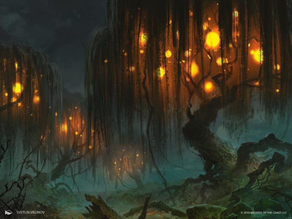 Swamp Art Magic Throne of Eldraine