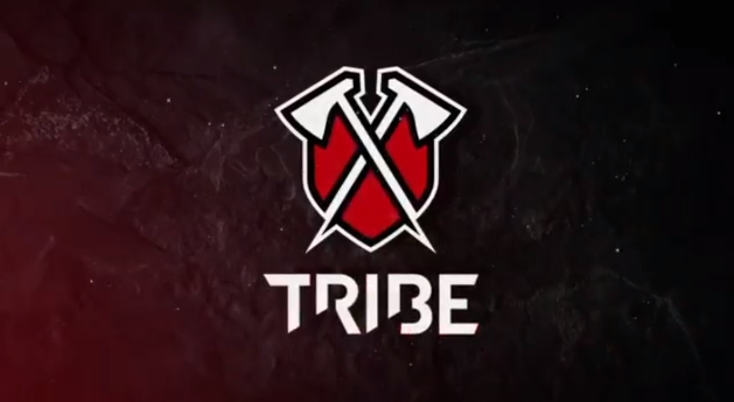 Tribe Gaming on X: @SKGaming @BrawlStars lol  / X