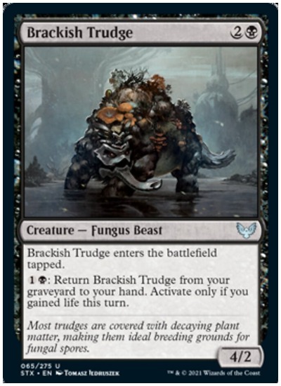 Brackish Trudge