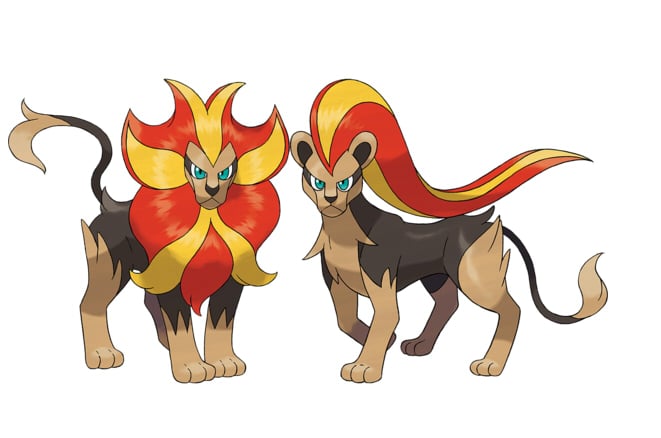 The male and female versions of Pyroar.
