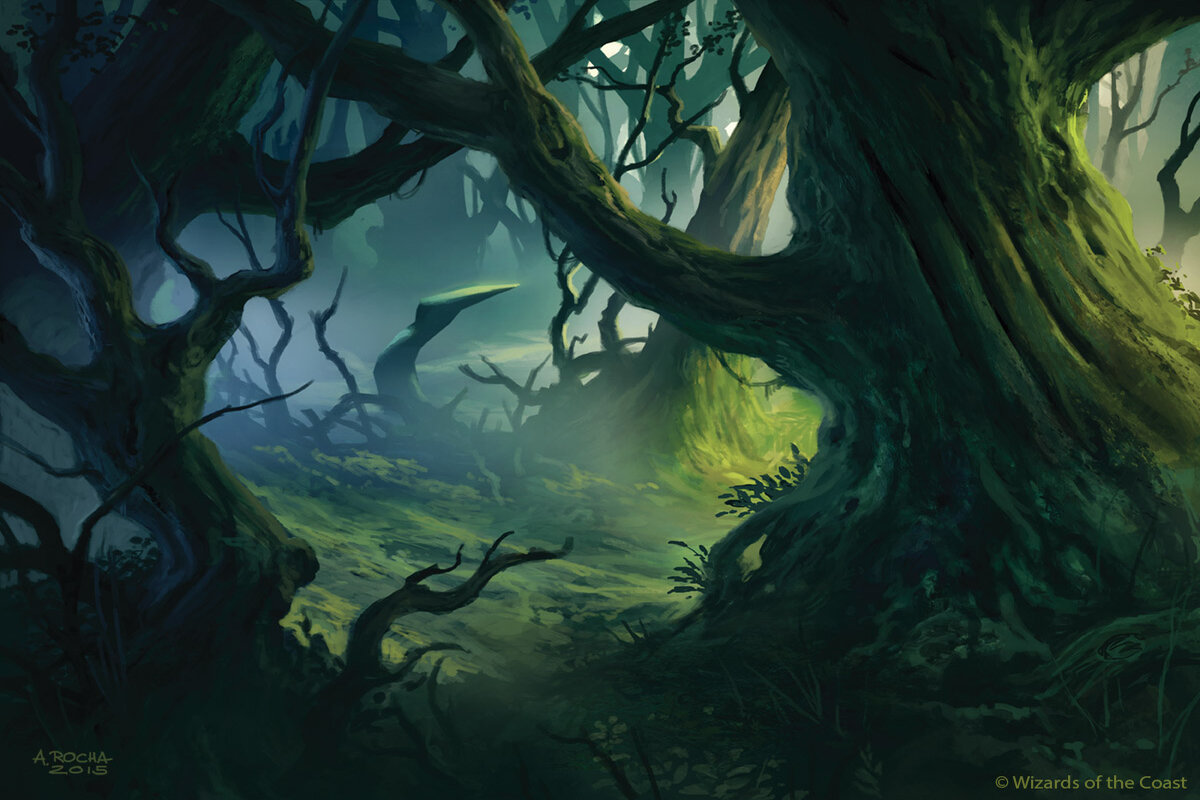 MTG Shadows Over Innistrad Forest