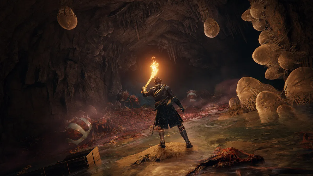 Am image of a character in Elden Ring holding a flame