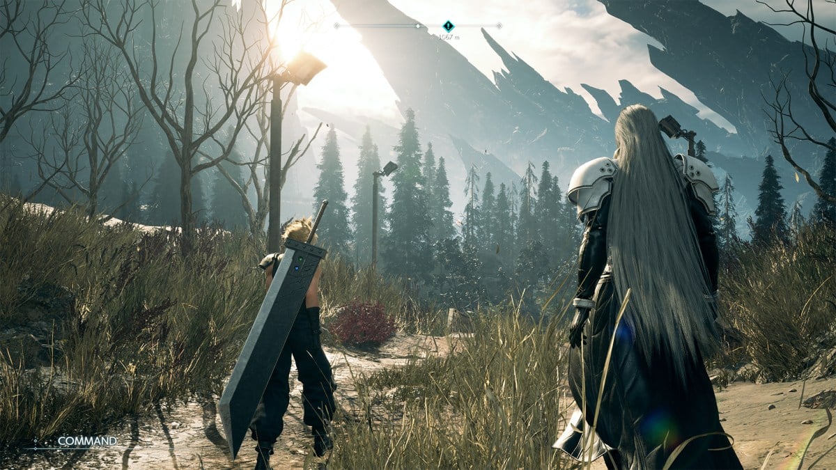 Cloud and Sephiroth journeying though grassland