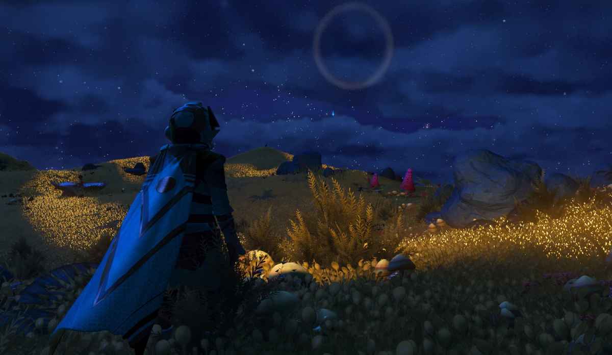 A screenshot from No Man's Sky showing the player staring up at a starry sky with a planet in the distance. They are in a field of illuminating plants.