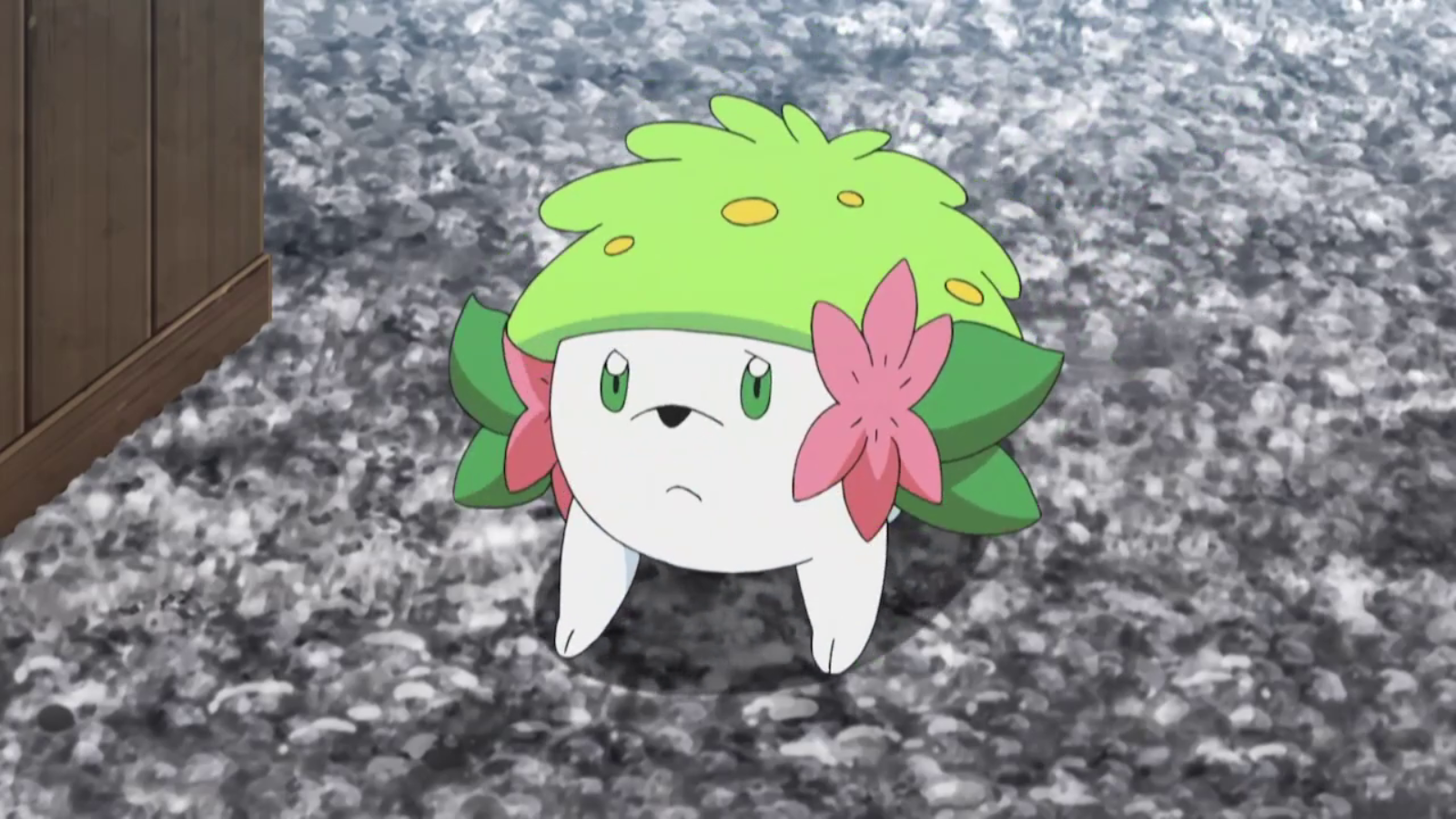 Can Shaymin be Shiny in Pokemon GO – Answered - Prima Games