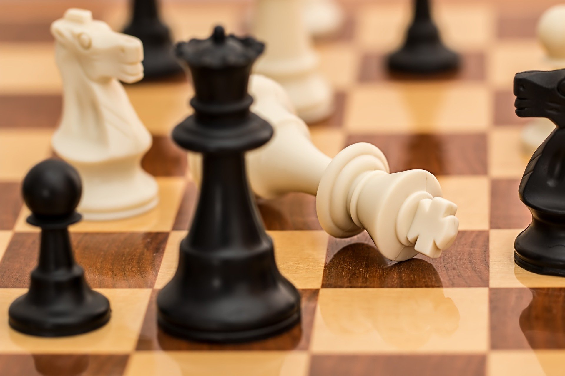 A Primer of Chess – Everyman Chess