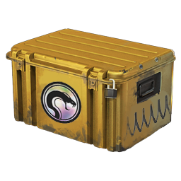 The Recoil Case in CS2.