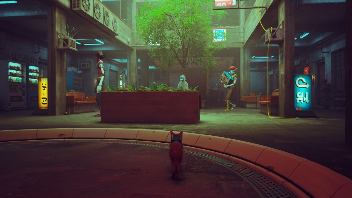 See Stray Played In First-Person Perspective
