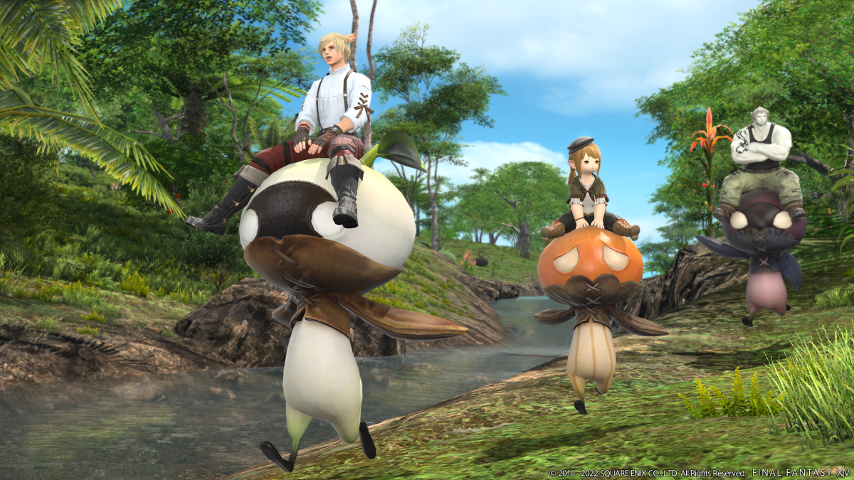 Characters riding cute mounts in final fantasy 14
