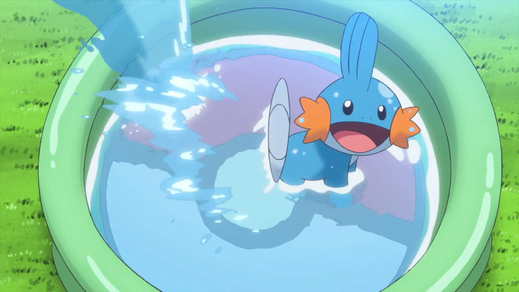 Mudkip smiles in a kiddy pond.