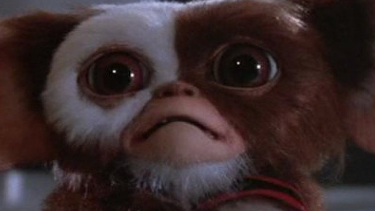 A screengrab from the Gremlins movie showing Gizmo looking dismayed
