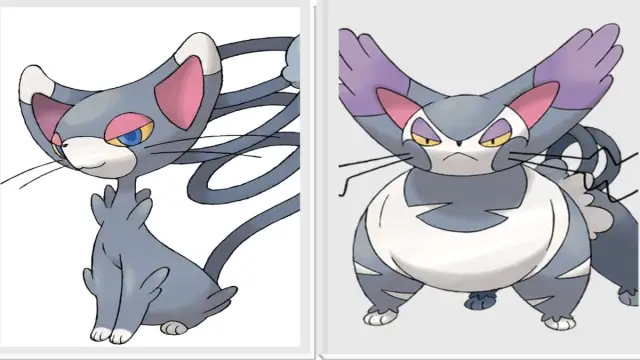 Side by side images of Glameow and Purugly.