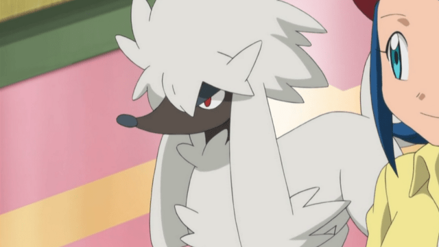 A Pokémon trainer glancing at Furfrou in the anime.