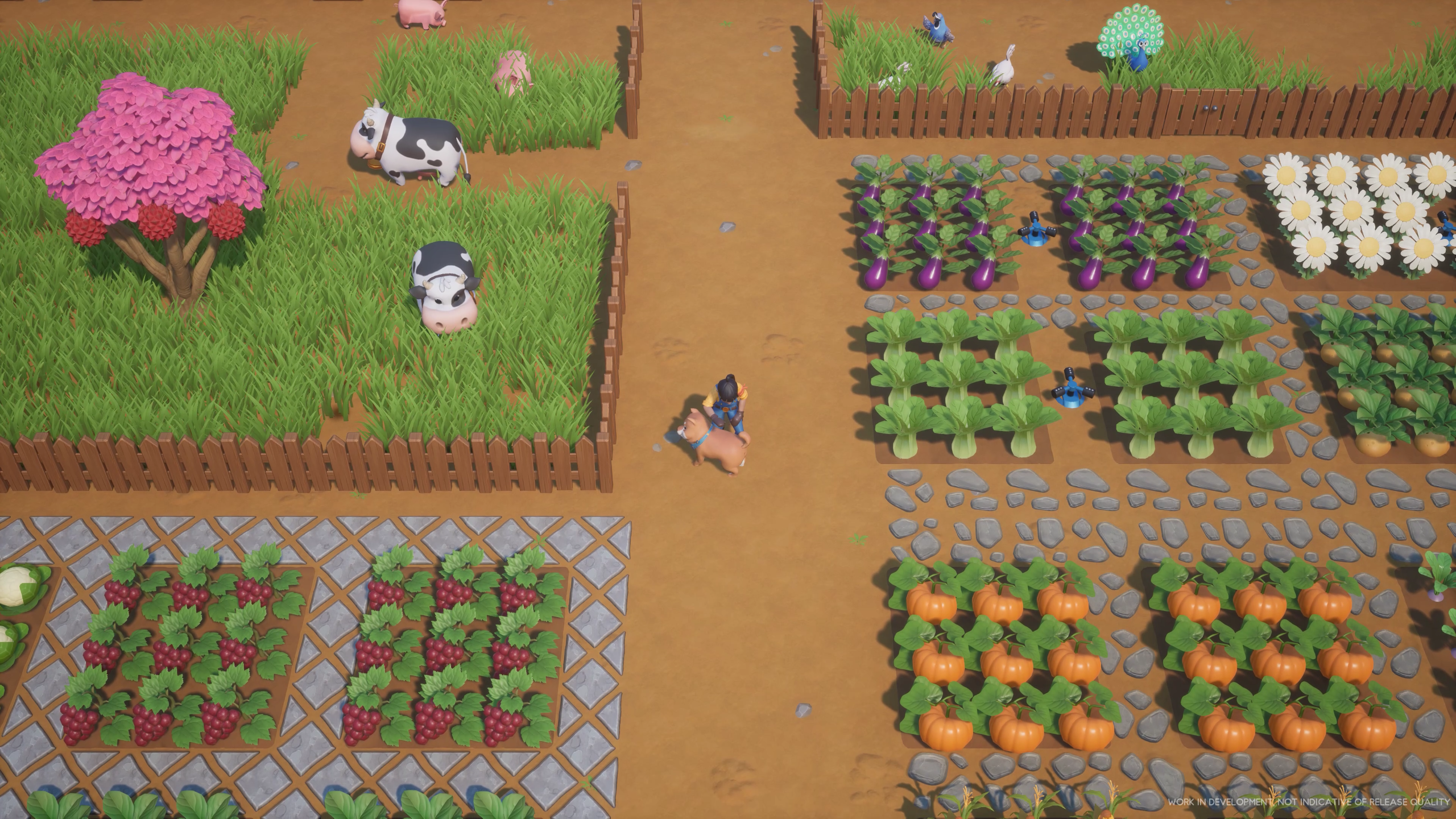 A farm in Coral Island with various crops and flowers to harvest.