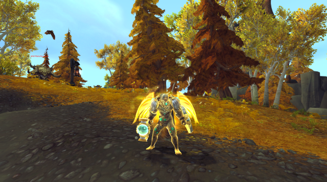 Паладин за защита е готов в World of Warcraft, оборудвайки чук и щит