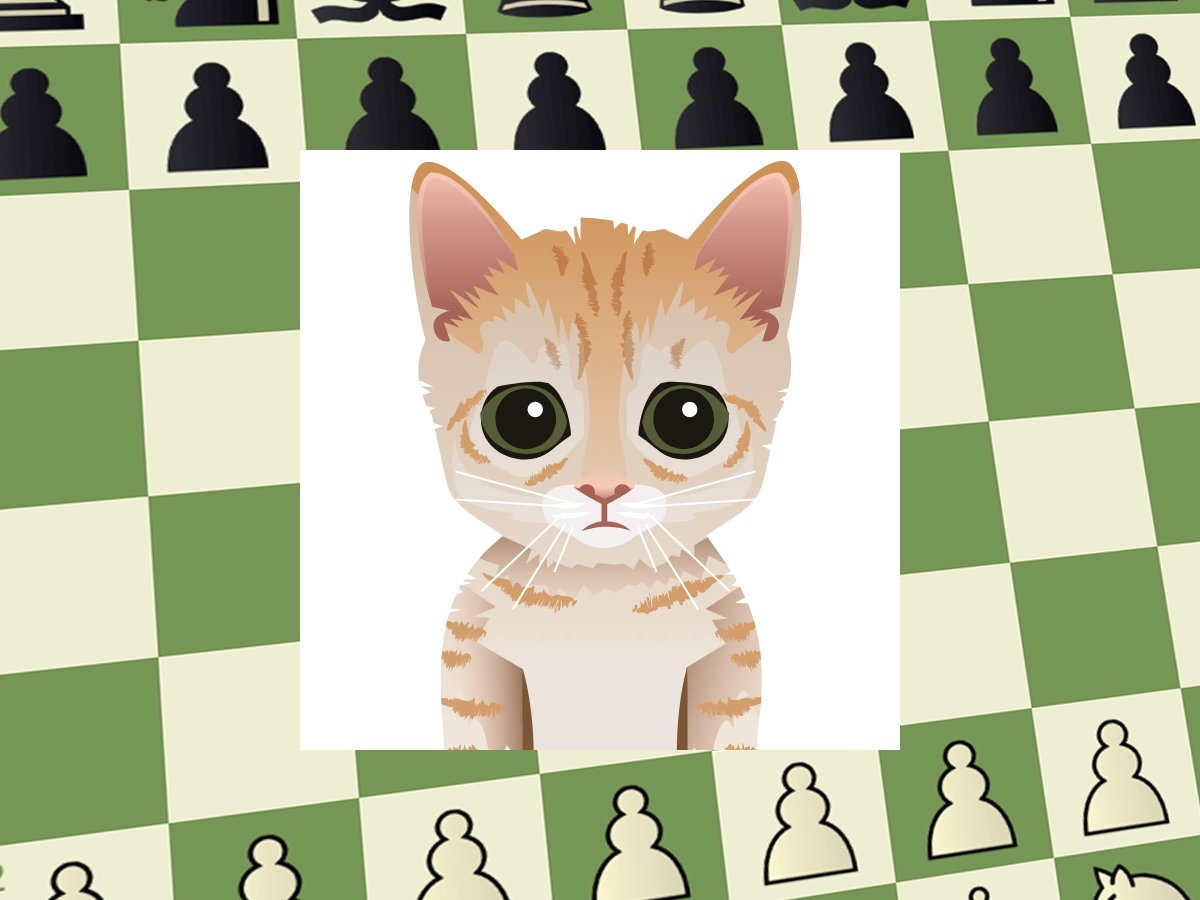 This Mittens bot is crazy : r/chessmemes