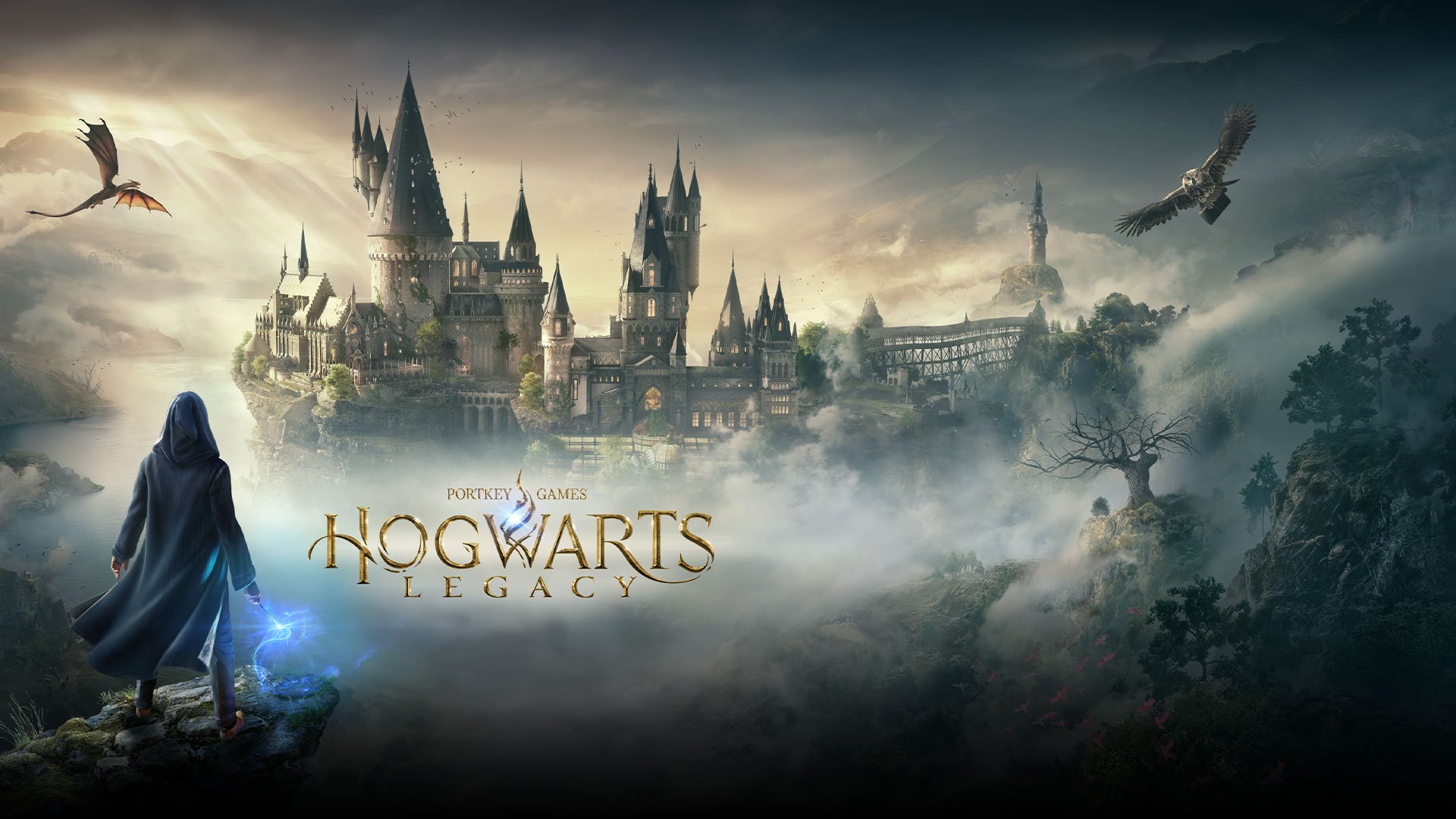 GDQ Bans Hogwarts Legacy & Harry Potter Games from Streams