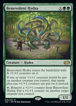 Image of Hydra in field