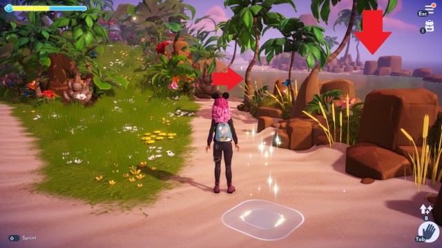 The player standing by the entrance after entering the Moana Realm. 