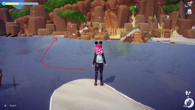 The player looking toward Ariel's island. 