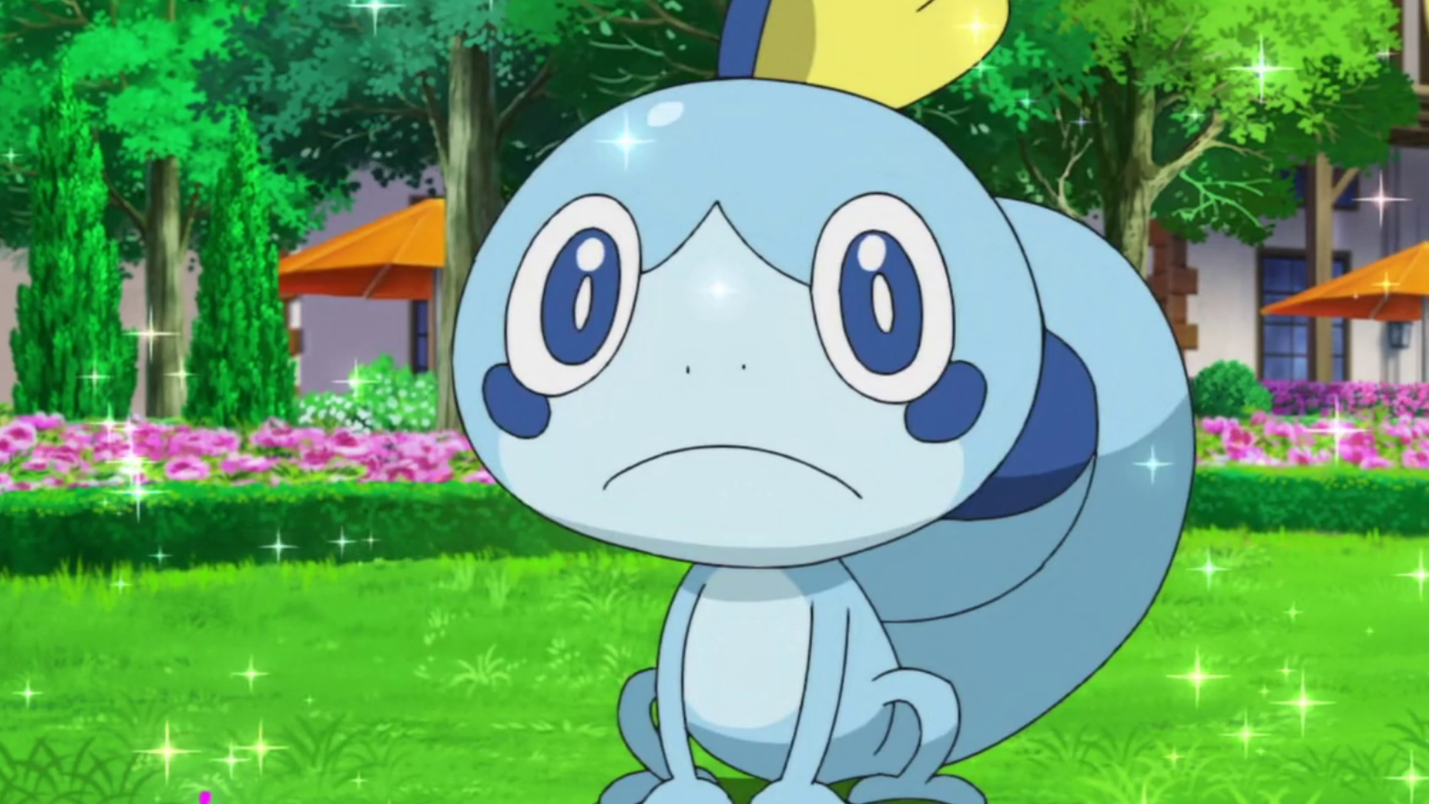 How to Find and Evolve Sobble in Pokémon Sword and Shield