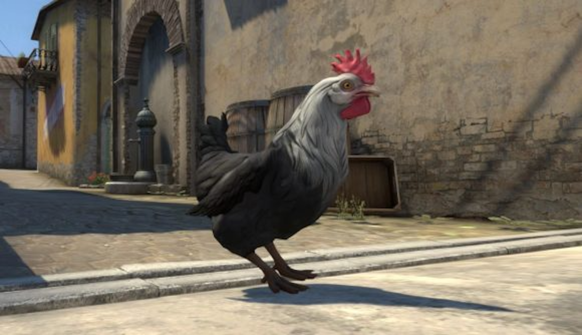A Chicken from CS:GO.