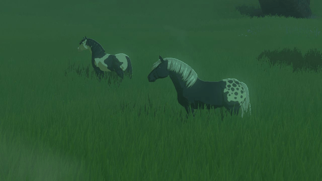 A screenshot from Tears of the Kingdom showing two multicolored horses, a paint and an appaloosa, in an open field.
