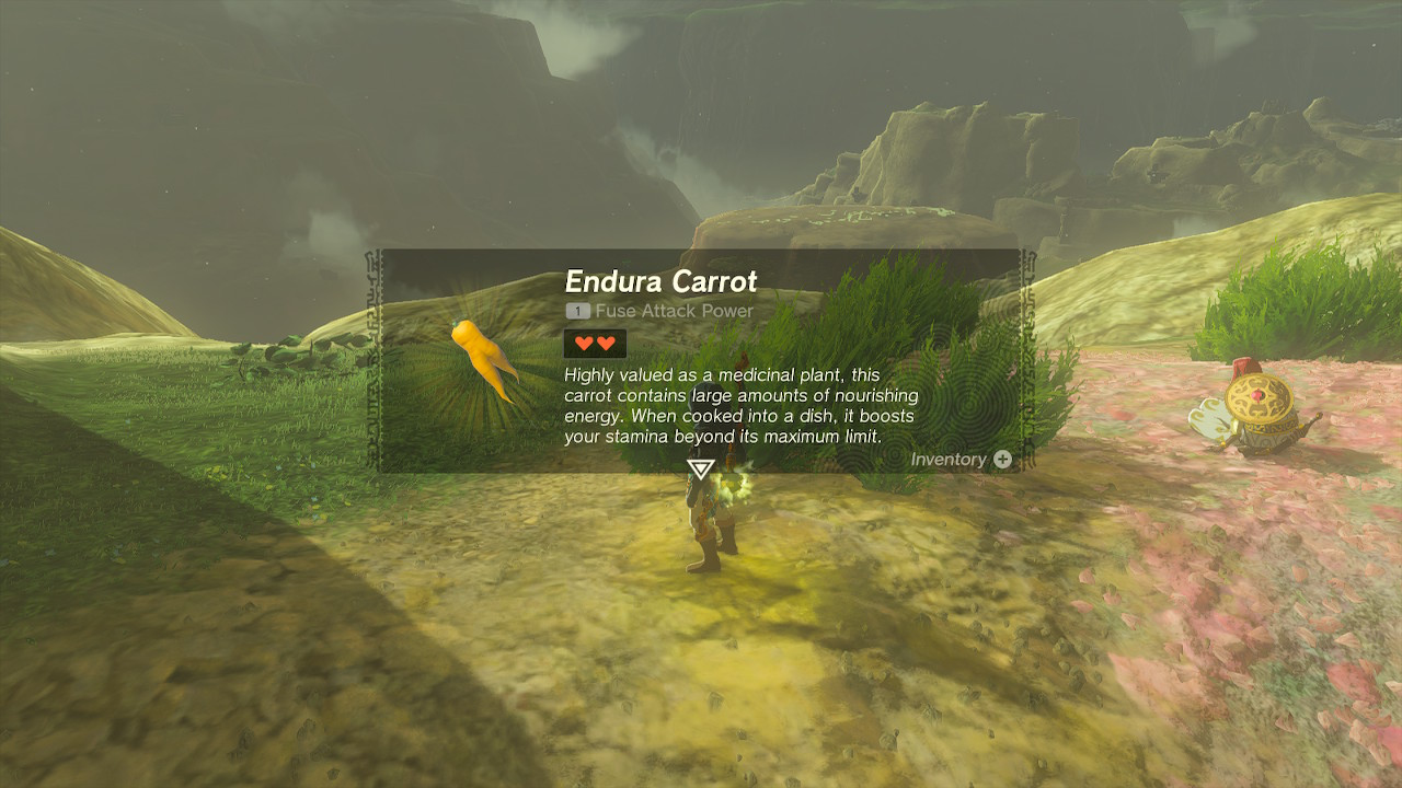 Where To Get Endura Carrots In Tears Of The Kingdom TOTK Dot Esports   IMG 2787 