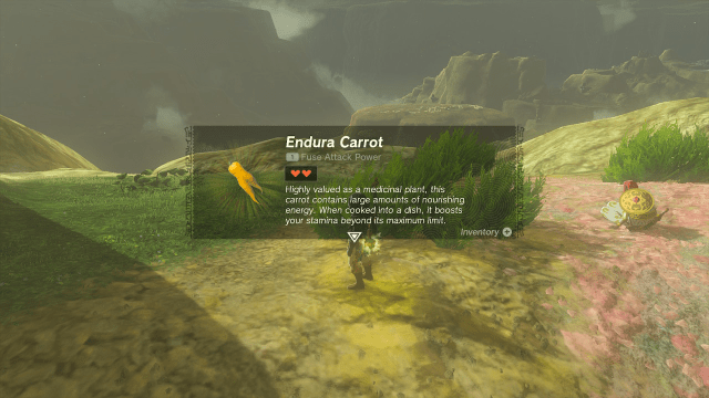 A screenshot showing the Endura Carrot description. "Highly valued as a medicinal plant, this carrot contains large amounts of nourishing energy," the description reads. "When cooked into a dish, it boosts your stamina beyond its maximum limit."