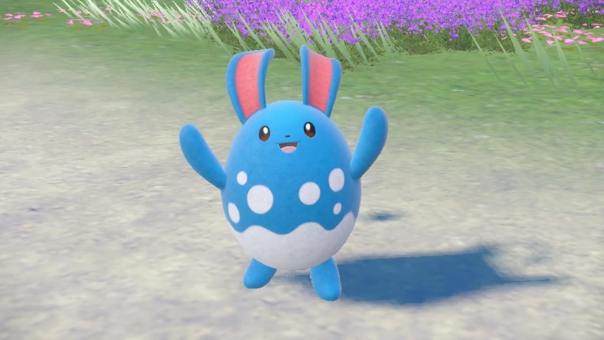 Cómo hacer que tu Azumarill aprenda Belly Drum en Pokémon Escarlata y Violeta