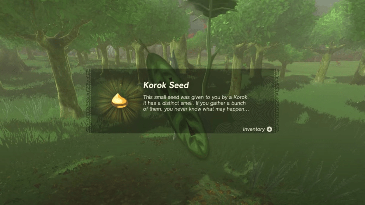 A Korok Seed description in Zelda: Tears of the Kingdom.
