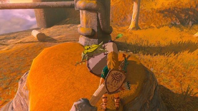 Link is standing in front of a Korok with a very heavy backpack.
