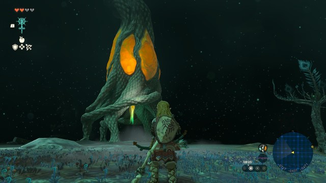 Photo of Link in the depths near a Lightroot