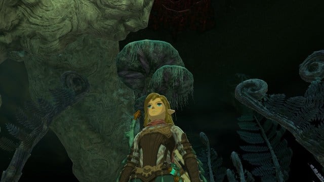 Link standing in a darkened world with unique trees in The Legend of Zelda: Tears of the Kingdom.