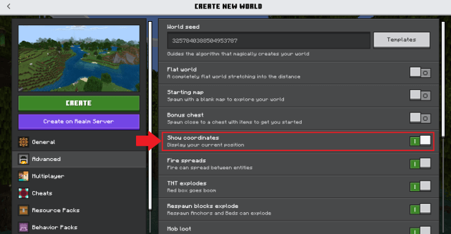 A screenshot of the show coordinates option in the settings for Minecraft.