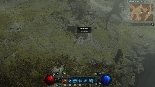 Screenshot of Angelbreath as a lootable plant in Diablo 4.