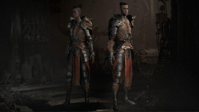 An image of two Necromancers in Diablo 4.