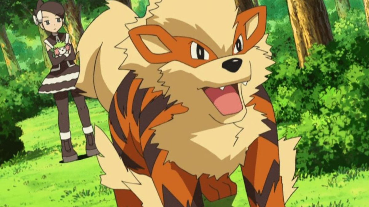 Arcanine in a protective stance with Marley in the Pokémon anime.