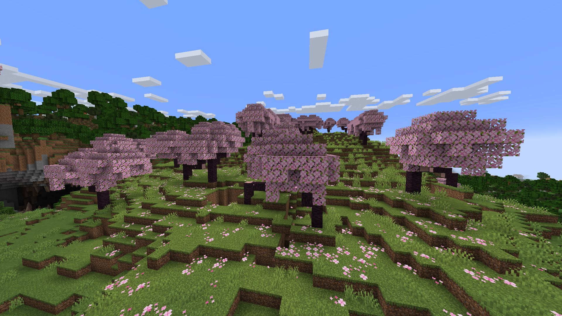 How to find the cherry blossom grove biome in Minecraft