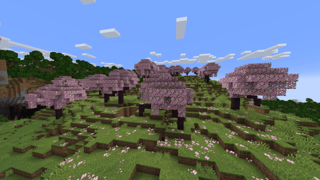 A cherry blossom forest. 