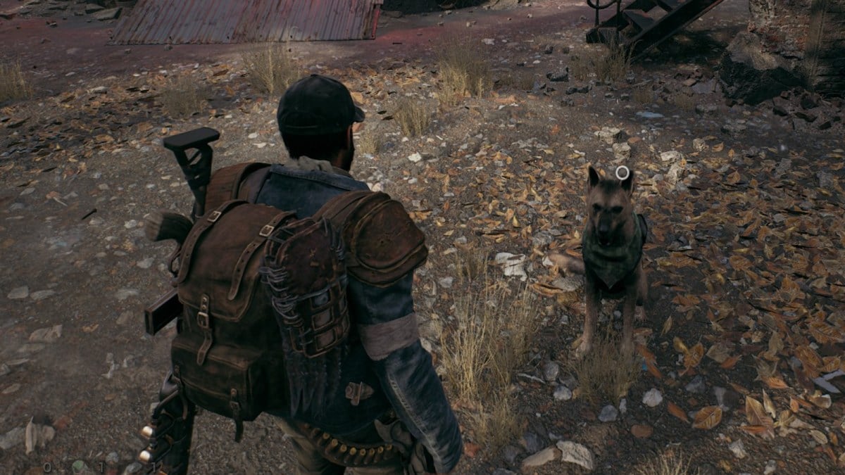 A player in Remnant 2 stands opposite a dog, with the ground covered in leaves.
