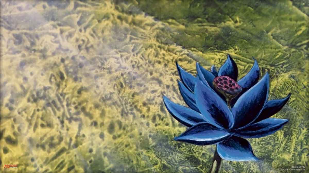 Image of flower called Black Lotus in MTG game