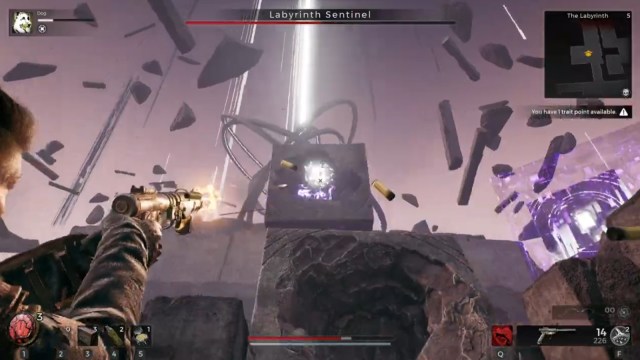 Labyrinth Sentinel weak spots being targeted