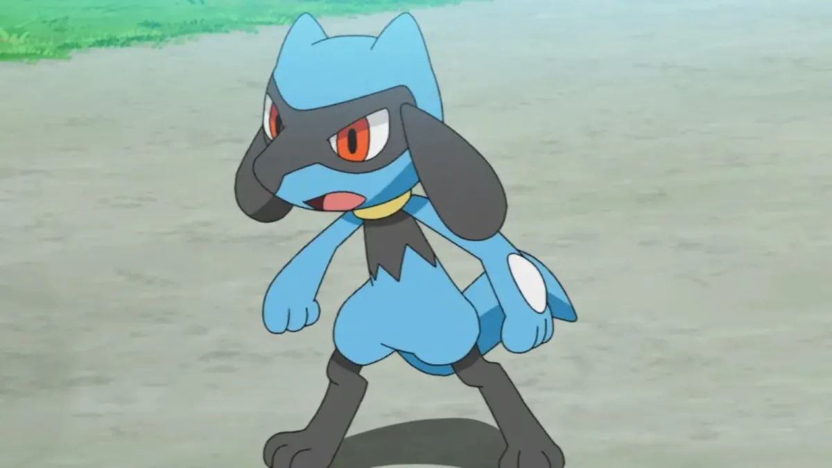 Riolu in the Pokemon anime stands ready for a battle.
