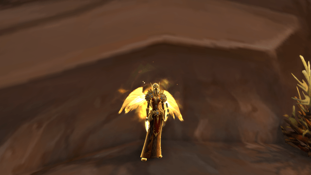 A Paladin standing in front of a wall in WoW Dragonflight.