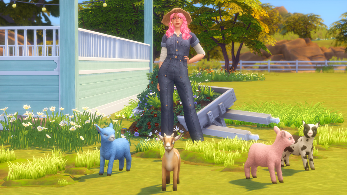 A Sim standing outside on a ranch with one goat and three sheep.
