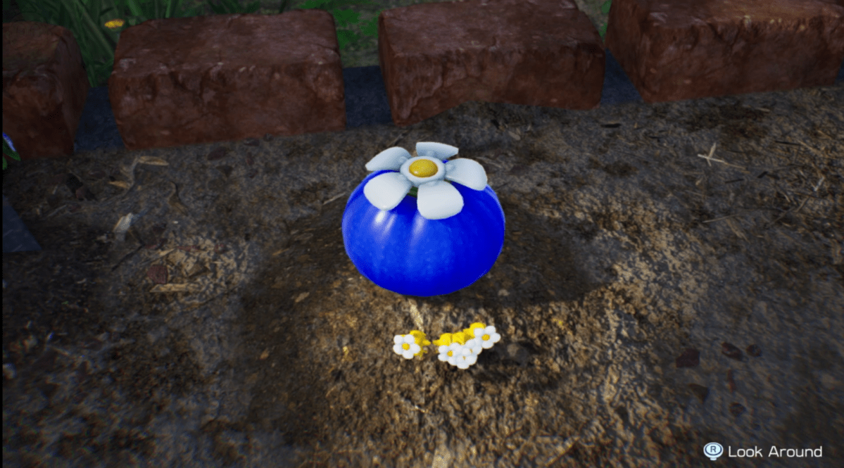 The Blue Pikmin Onion appears in Pikmin 4
