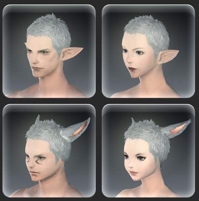 Screenshot showing the same hairstyle on four different races from FFXIV.